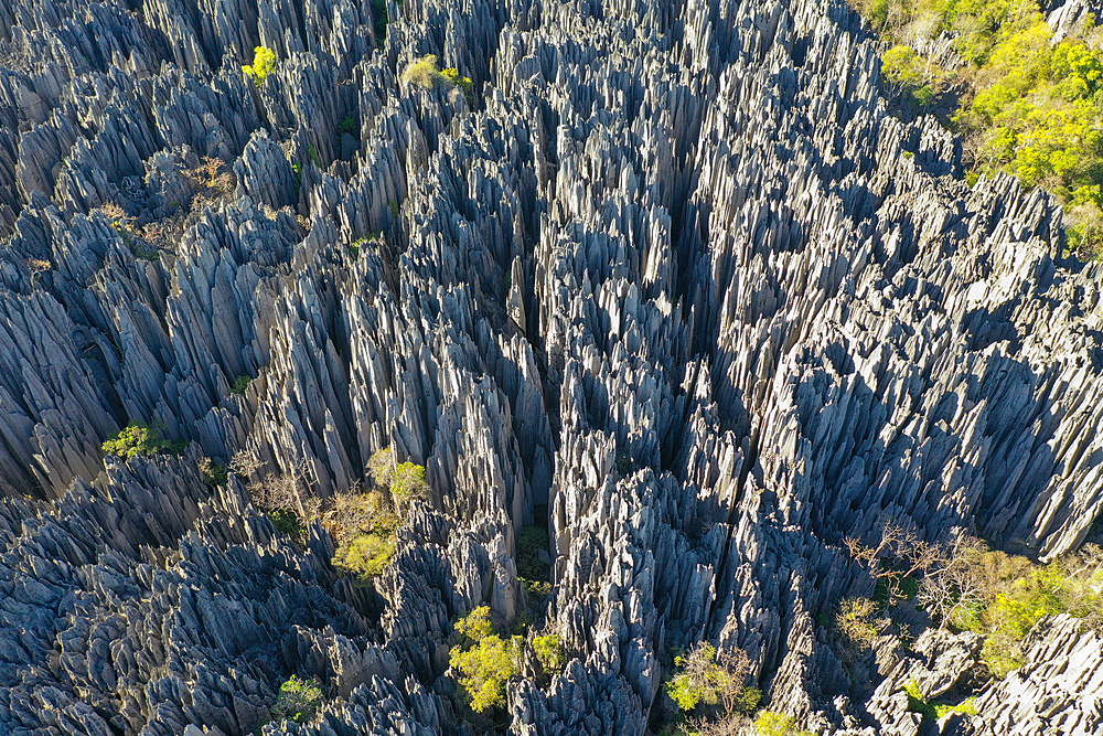 The karst limestone formation at Parc National des Tsingy de Bemaraha, UNESCO World Heritage Site, Tsiribihina region, Madagascar, Africa