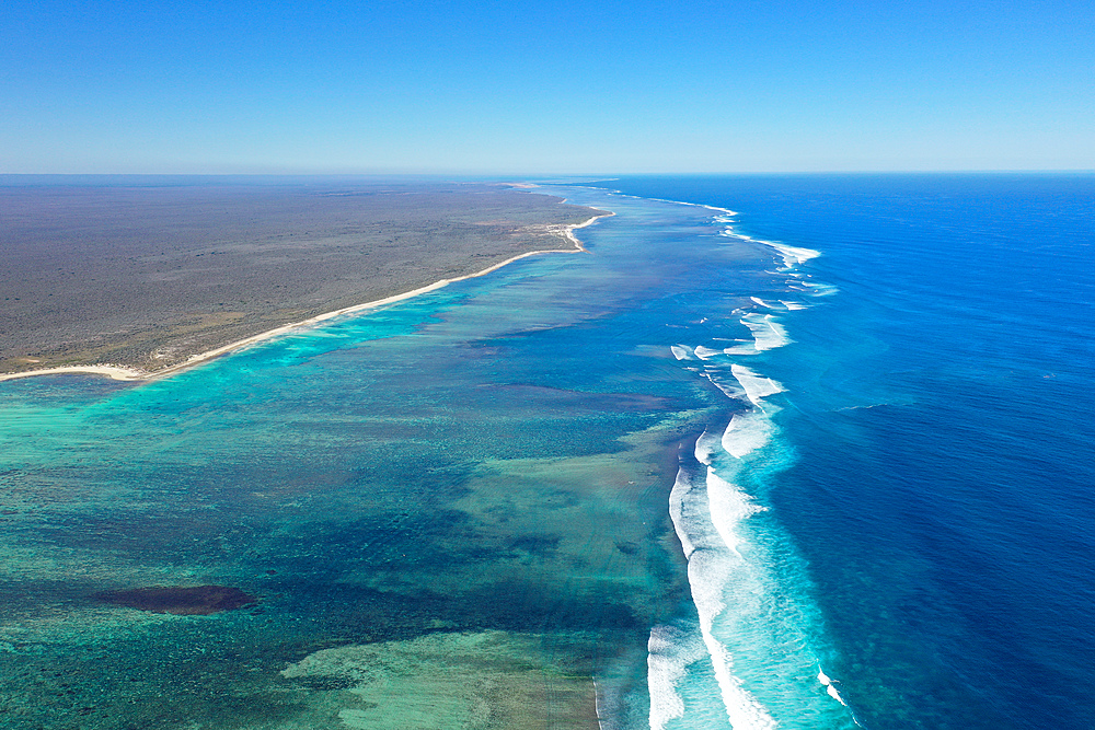 Coral reef near Salary, South Western coast of Madagascar, Indian Ocean, Africa