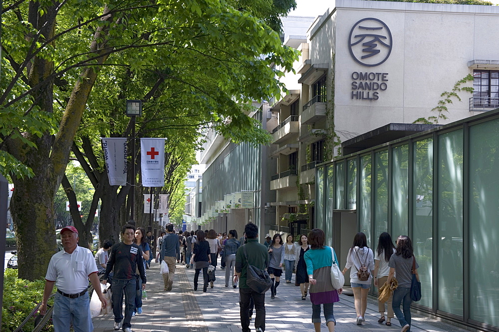 Omotesando Hills shopping center in the upmarket retail district of Tokyo's Shibuya ward, Tokyo, Japan, Asia