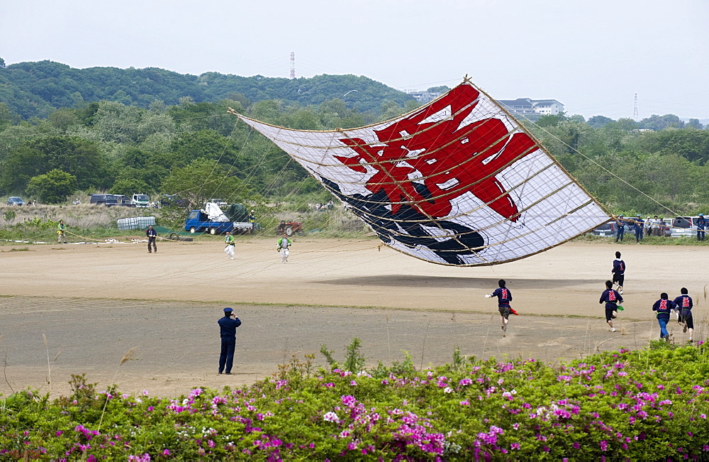 Sagami Kite Festival which boasts the largest kite in Japan at over 14  meters square and 1000 kg in weight, Sagamihara, Kanagawa, Japan, Asia