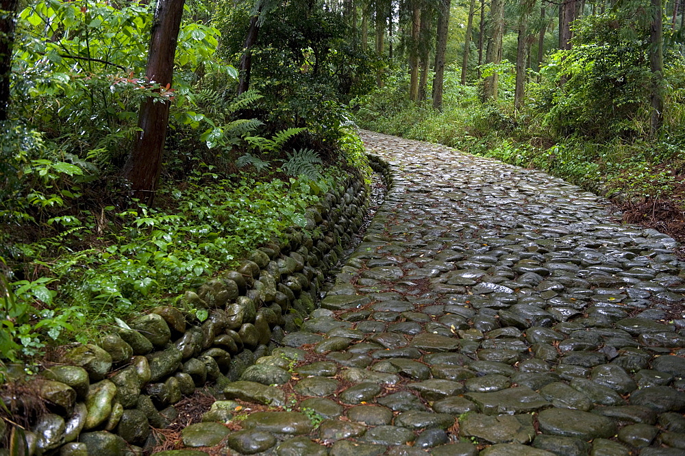 Stone paving called ishidatami on old Tokaido Road in Shizuoka that once stretched from Tokyo to Kyoto, Shizuoka, Japan