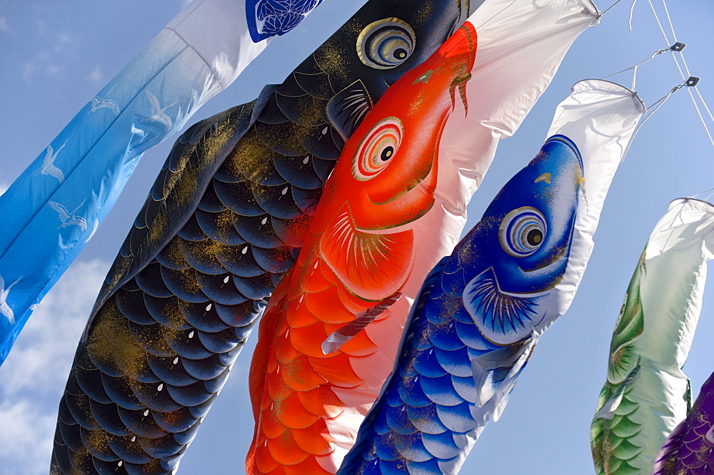 Koinobori, or carp streamers, seen throughout Japan around Children's Day, May 5th, Japan