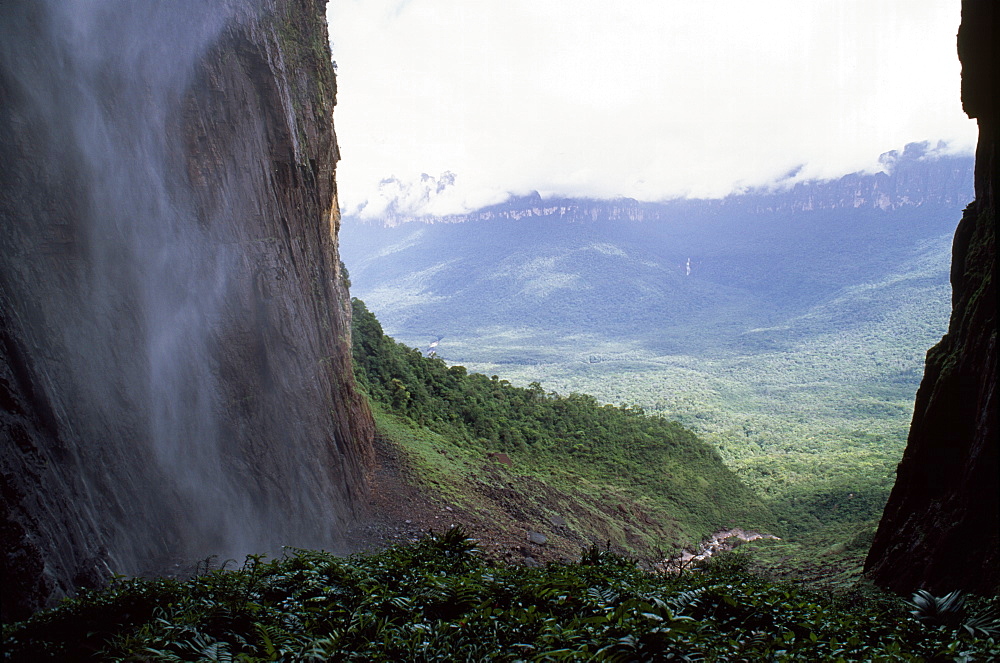 View from base of Angel Falls, Churun Gorge, Auyantepui (Devil's Mountain) (Auyantepuy), Canaima National Park, UNESCO World Heritage Site, Venezuela, South America