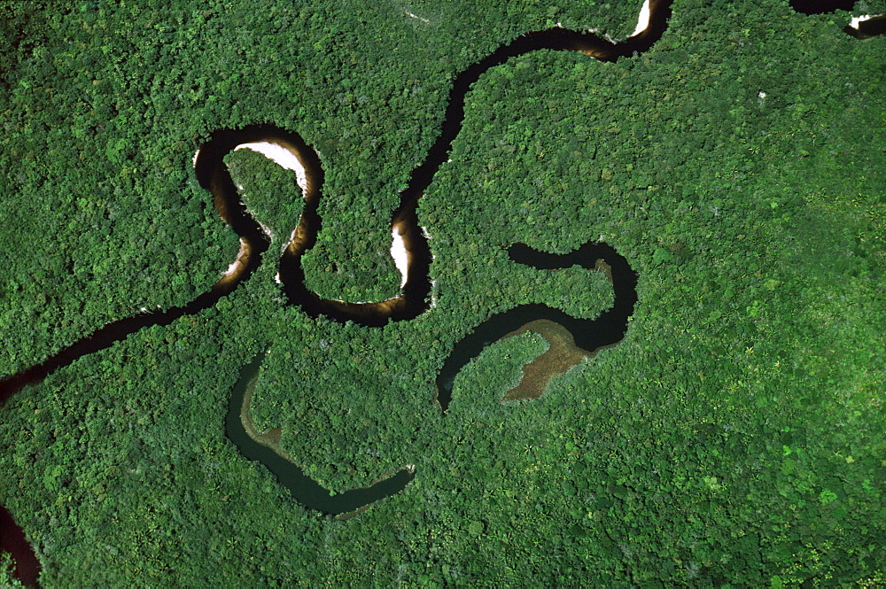 Aerial view of Rain Forest with Caroni River and Ox-Bows, Venezuela, South America