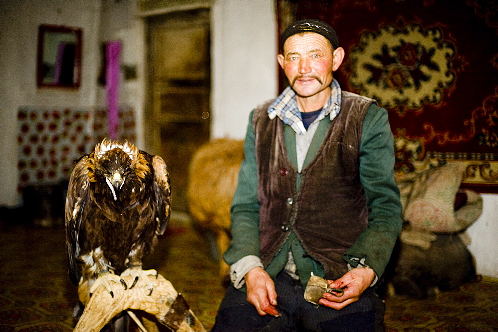 An eagle hunter at home with his eagle in Bayan Olgii, Mongolia, Central Asia, Asia