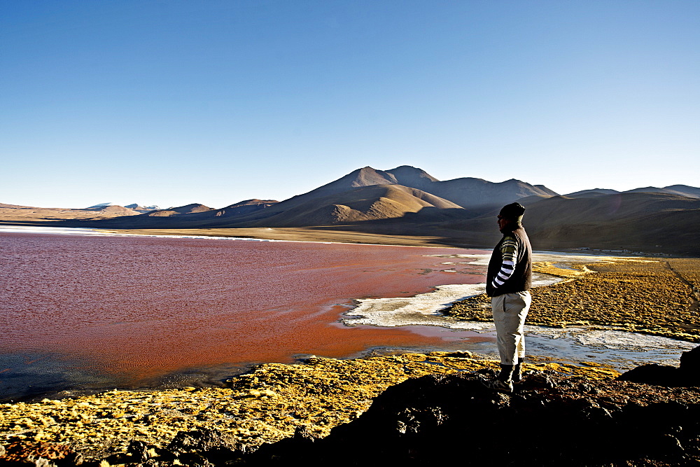 Laguna Colorada, a shallow red salt lake in South West Bolivia, South America 