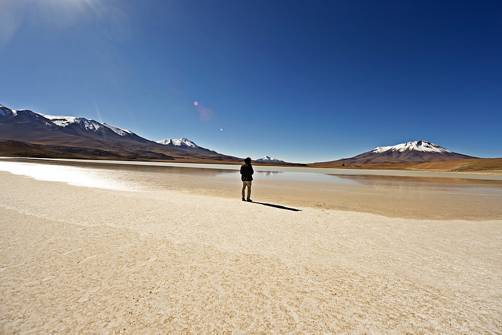 At the edge of a salt lake high in the Bolivian Andes, Bolivia, South America 