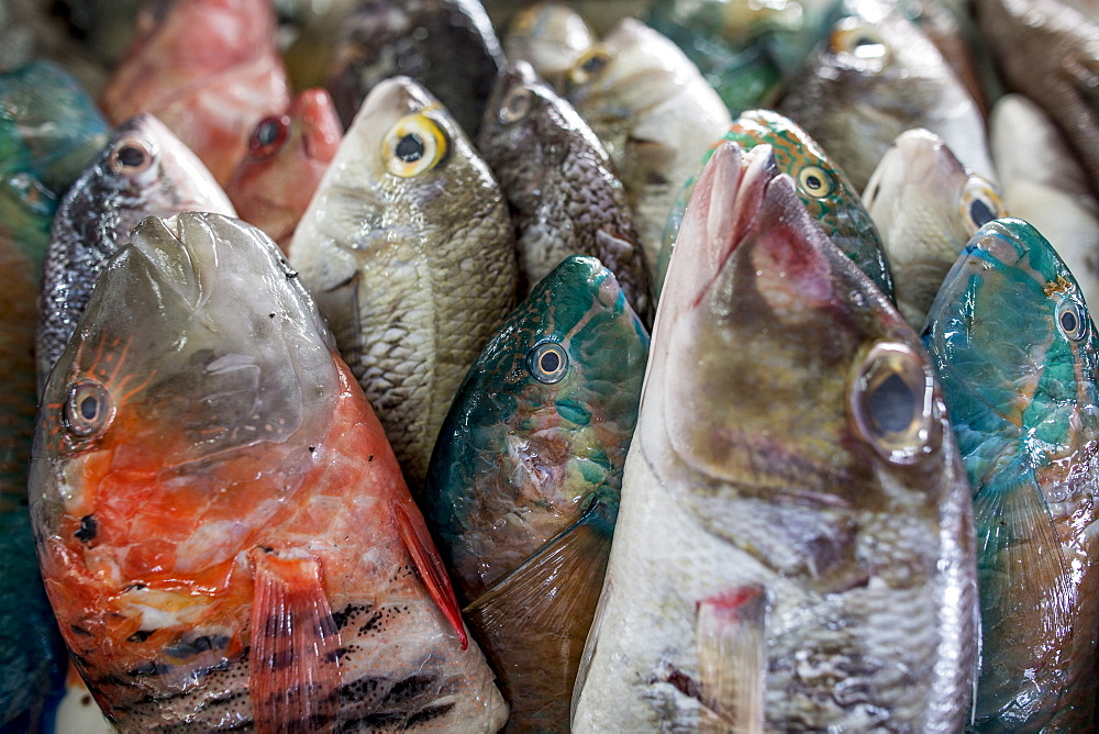 A collection of fish for sale in Kudat fish market, Sabah, Malaysian Borneo, Malaysia, Southeast Asia, Asia 