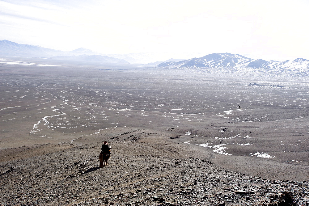 An eagle hunter out on a morning hunt in the Altai Mountains, Bayan Olgii, Mongolia, Asia