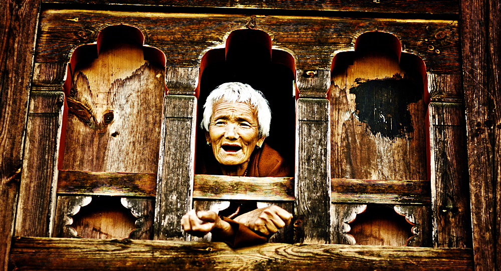 Tsheri Om leans out of her farmhouse window, Phobjika Valley, Bhutan, Asia