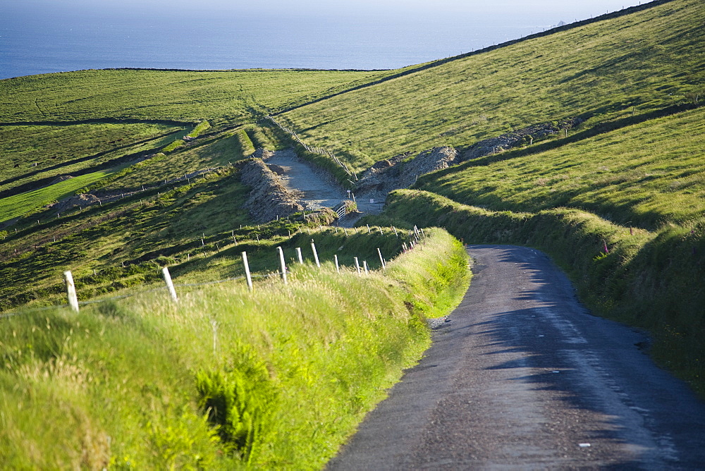 Narrow roads passing through the verdant Irish countryside in County Kerry, Munster, Republic of Ireland, Europe