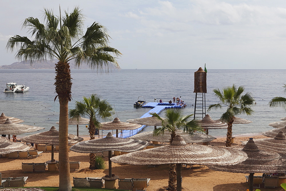 Sunshades and palm trees by the beach at White Knight Beach, Sharm el-Sheikh, Egypt, North Africa, Africa