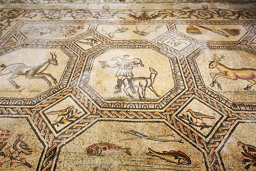 Early Christian mosaic floor dating from the 4th century, the Basilica of Santa Maria Assunta, Aquileia, Friuli-Venezia Giulia, Italy, Europe