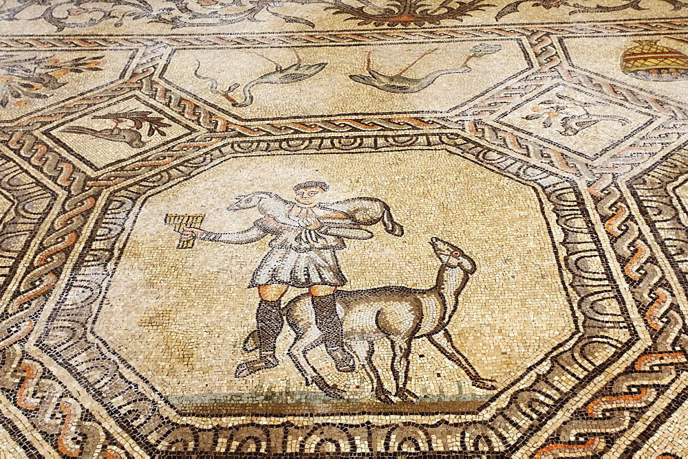 Early Christian mosaic floor dating from the 4th century, the Basilica of Santa Maria Assunta, Aquileia, Friuli-Venezia Giulia, Italy, Europe