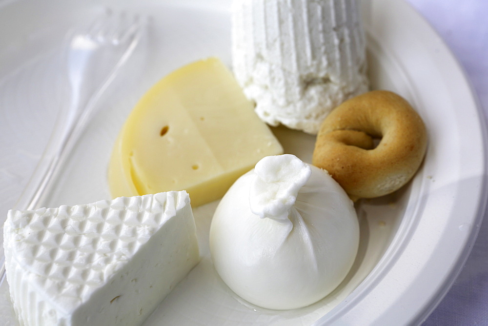 Freshly made Apulian cheeses, including Ricotta and Burrato, at a cheese factory near Martina Franca, Apulia, Italy, Europe