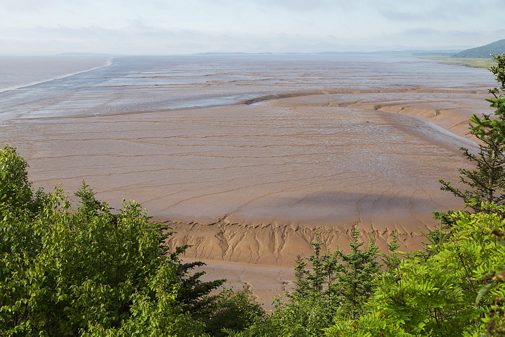 Mudflats, seen from Hopewell Rocks, on the Bay of Fundy, the location of the highest tides in the world, New Brunswick, Canada, North America