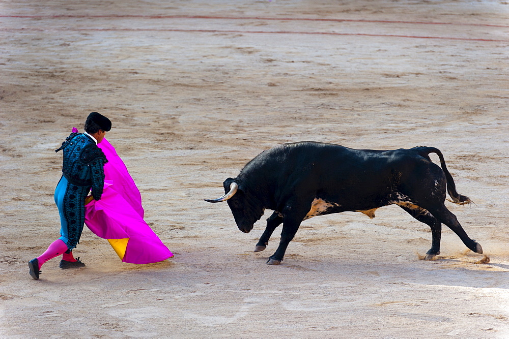 Bullfight featuring matadors, San Fermin festival, Pamplona, Navarre, Spain, Europe