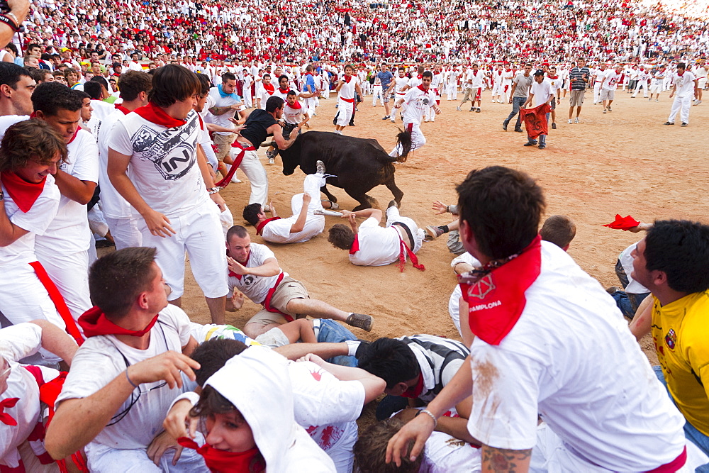 Amateur bullfight with young bulls, San Fermin festival, Pamplona, Navarra (Navarre), Spain, Europe