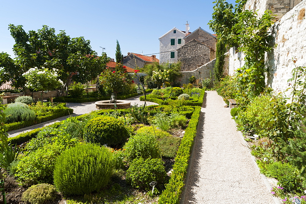 Medieval mediterranean garden of St. Lawrence Monastery, Sibenik, Dalmatia region, Croatia, Europe