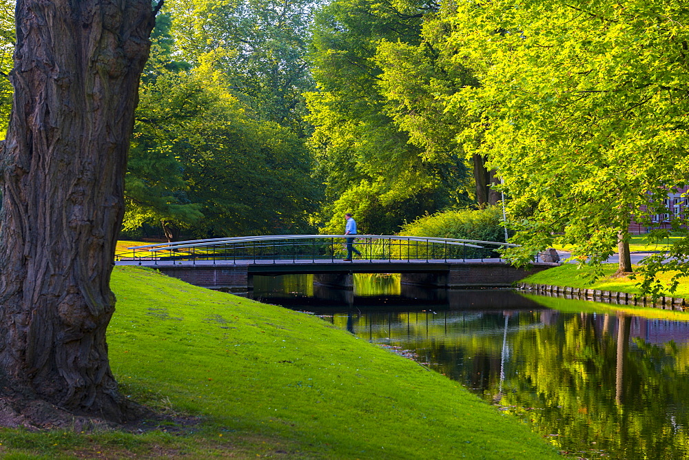 Het Park (The Park), Rotterdam, South Holland, The Netherlands, Europe