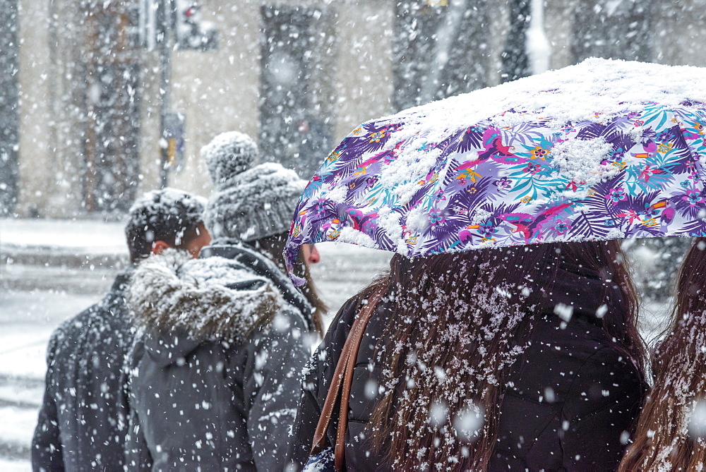 Piccadilly during snowstorm, West End, London, England, United Kingdom, Europe