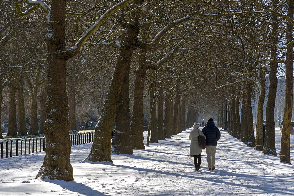 The Mall in the snow, London, England, United Kingdom, Europe