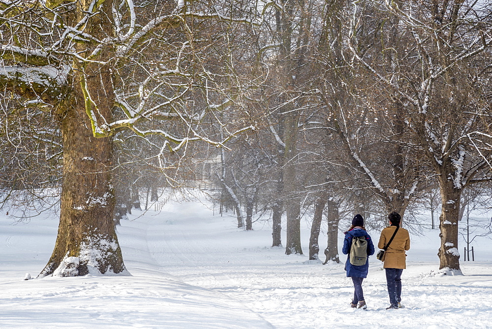 Green Park in the snow, London, England, United Kingdom, Europe