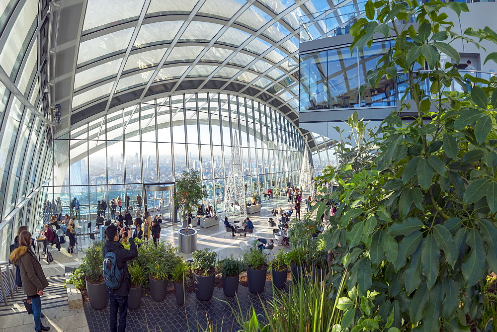 The Sky Garden at the Walkie Talkie (20 Fenchurch Street), City of London, London, England, United Kingdom, Europe