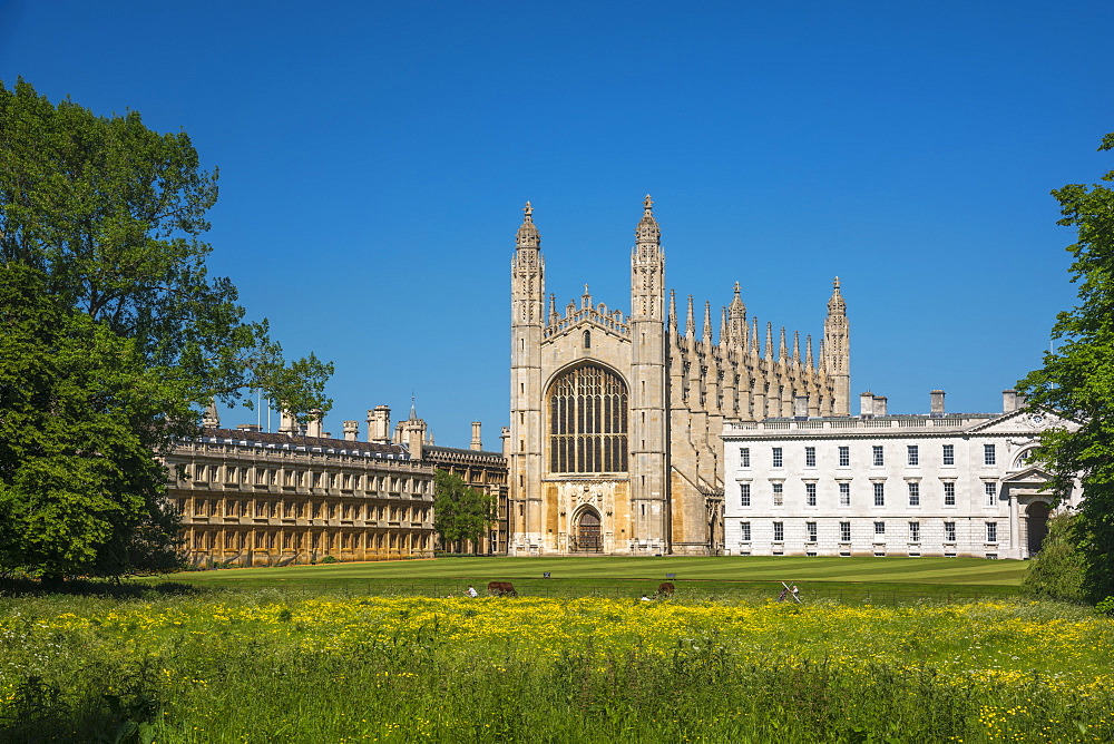 The Backs, King's College, King's College Chapel, Cambridge, Cambridgeshire, England, United Kingdom, Europe