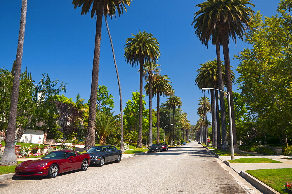 Beverley Hills, Los Angeles, California, United States of America, North America