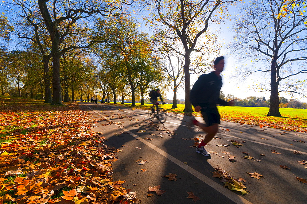 Hyde Park in autumn, London, England, United Kingdom, Europe