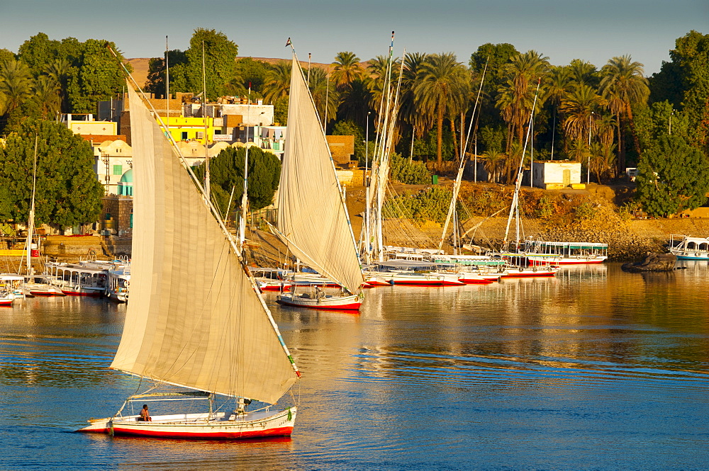 River Nile, Aswan, Upper Egypt, Egypt, North Africa, Africa