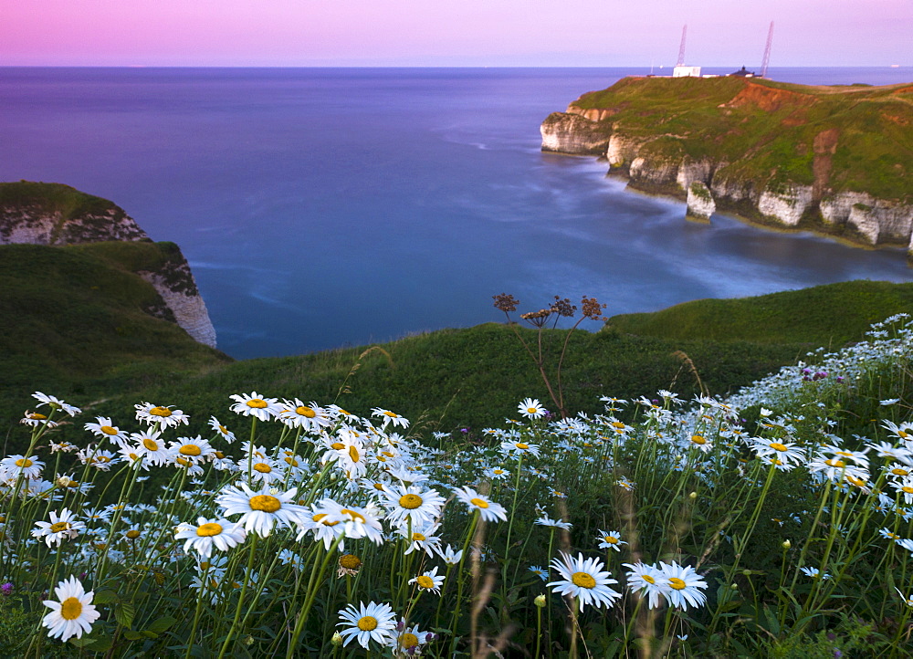 Flamborough Head, Yorkshire, England, United Kingdom, Europe