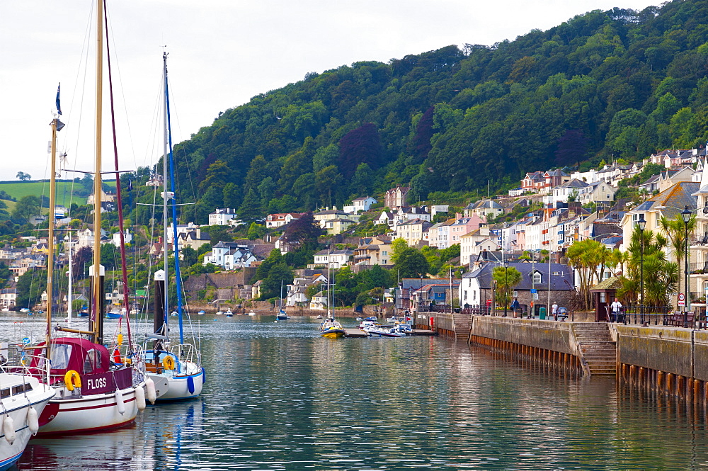 River Dart, Dartmouth, Devon, England, United Kingdom, Europe