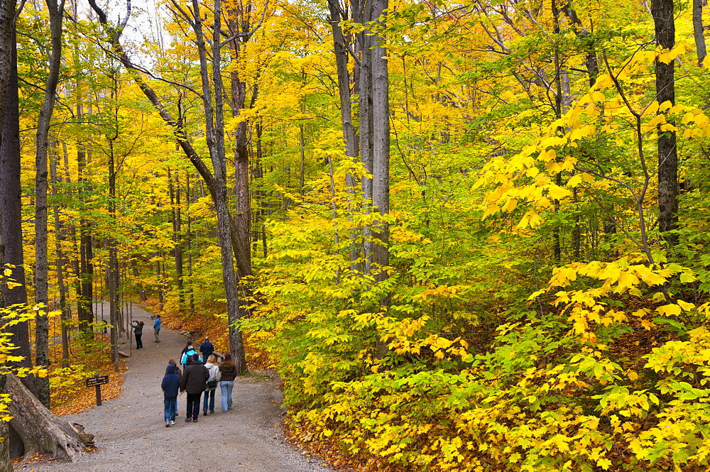 Franconia Notch State Park, New Hampshire, New England, United States of America, North America