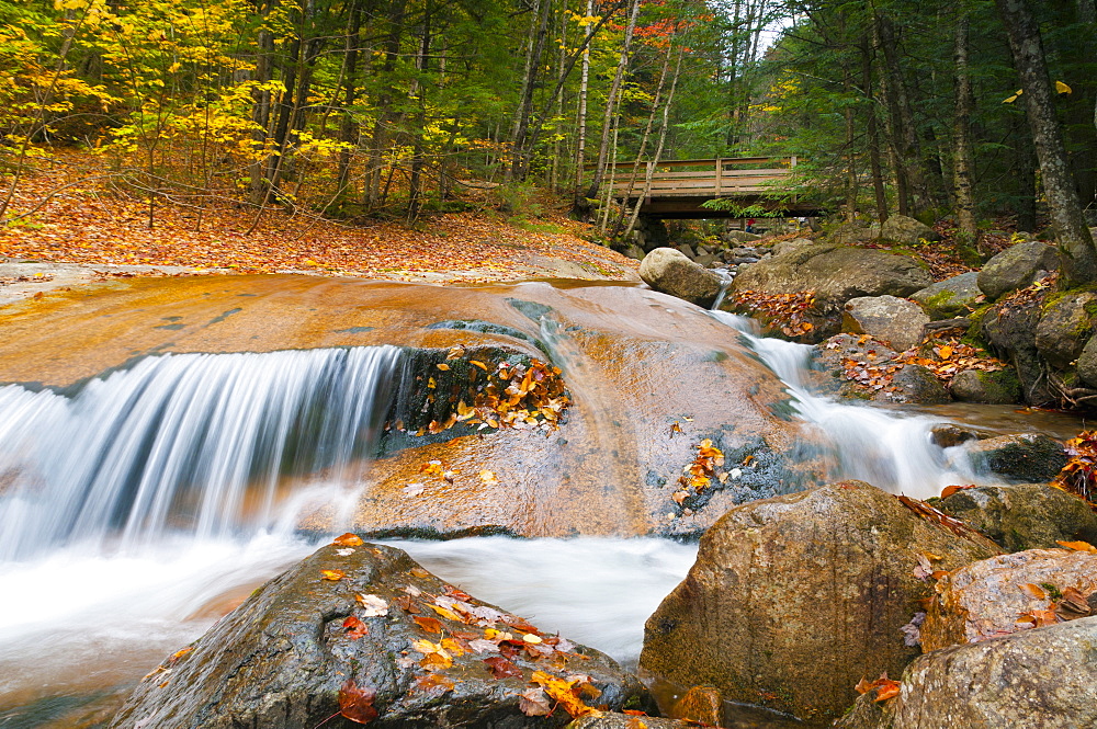 Franconia Notch State Park, New Hampshire, New England, United States of America, North America