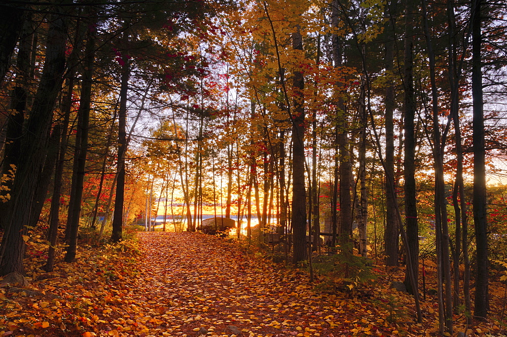 Lake Millinocket at sunrise, Baxter State Park, Maine, New England, United States of America, North America