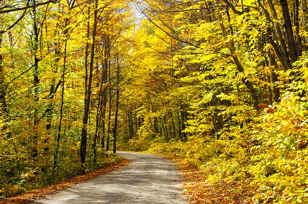 Baxter State Park, Maine, New England, United States of America, North America