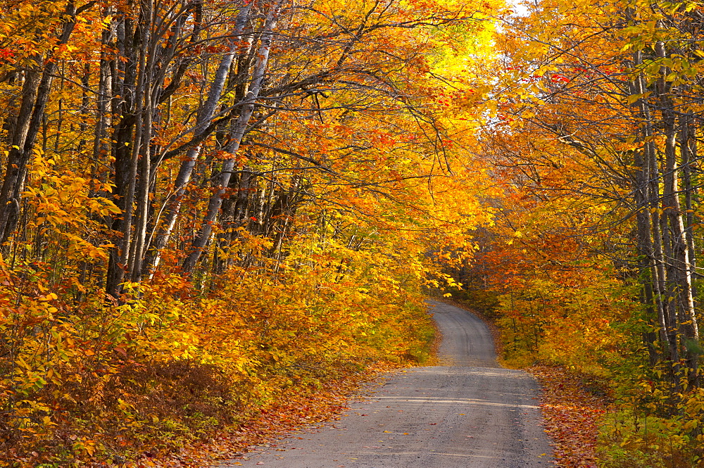 Fall colours, Baxter State Park, Maine, New England, United States of America, North America