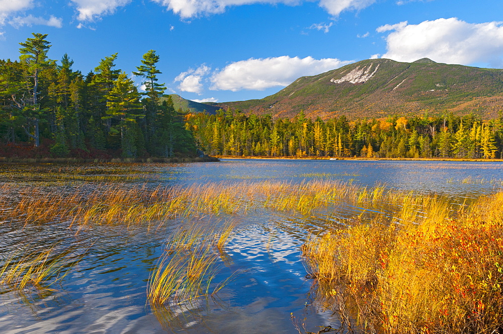 Elbow Pond, Baxter State Park, Maine, New England, United States of America, North America