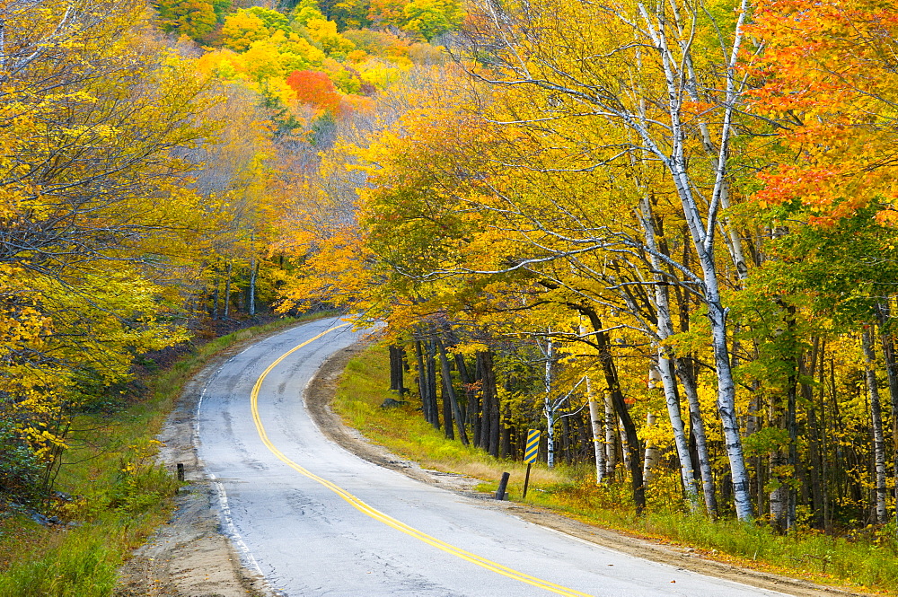 Grafton Notch State Park, Maine, New England, United States of America, North America