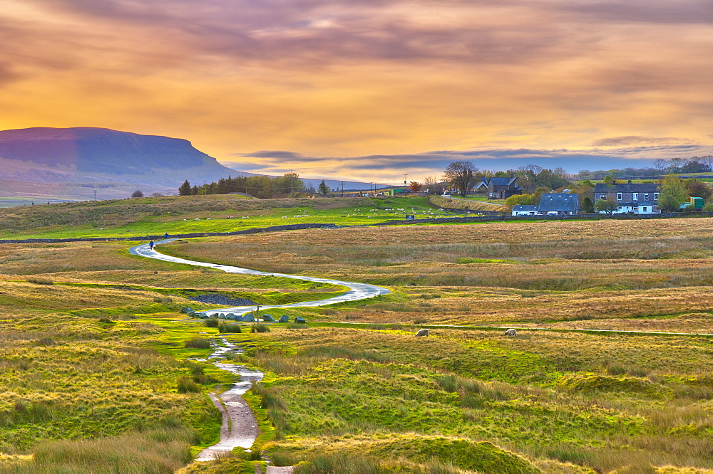 Pen-y-ghent one of the Yorkshire Three Peaks, Ribble Valley, Yorkshire Dales National Park, North Yorkshire, England, UK 