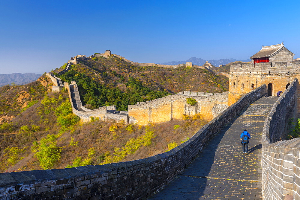 Great Wall of China, UNESCO World Heritage Site, dating from the Ming Dynasty, Jinshanling, Luanping County, Hebei Province, China, Asia