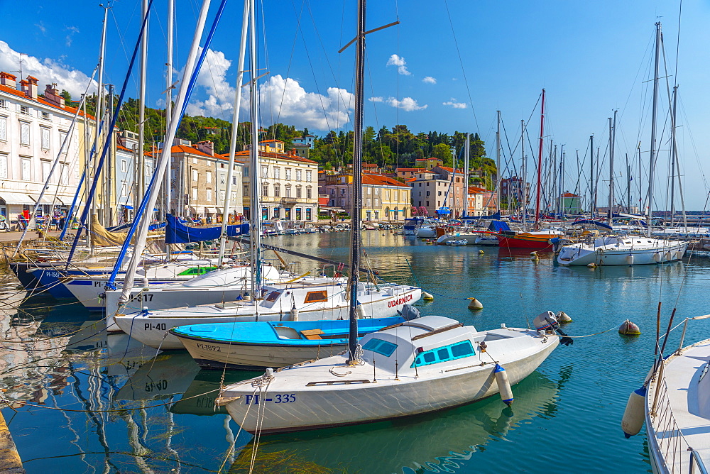 Old Town Harbour, Piran, Primorska, Slovenian Istria, Slovenia, Europe