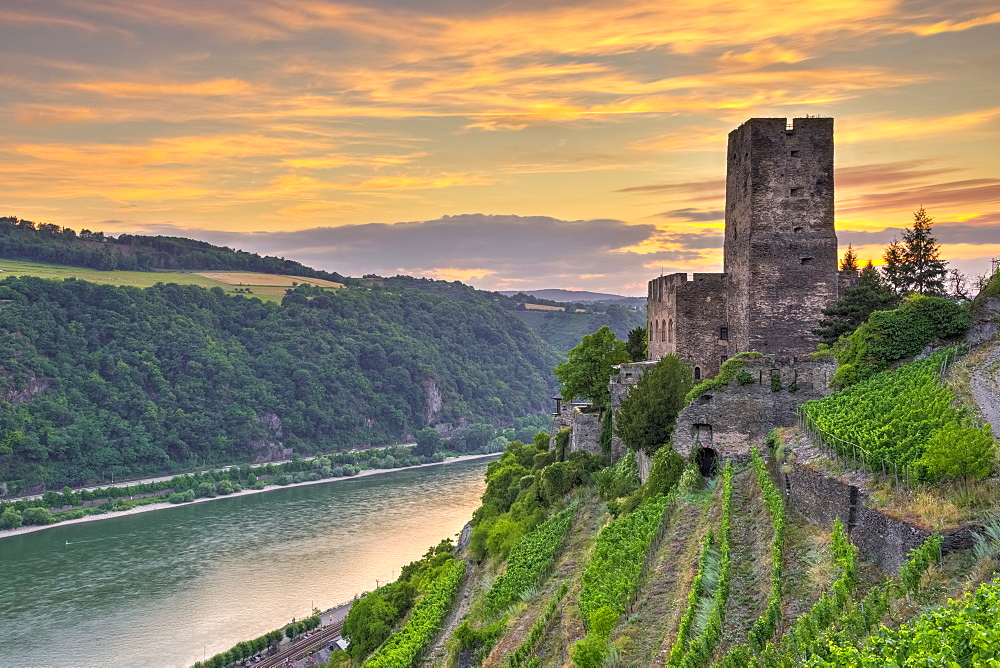 Burg Gutenfels, UNESCO World Heritage Site, and River Rhine, Rhineland Palatinate, Germany, Europe