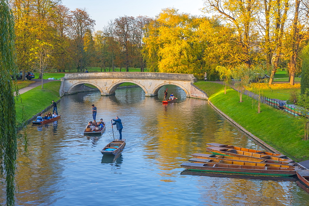 Punting on The Backs, River Cam, Cambridge, Cambridgeshire, England, United Kingdom, Europe