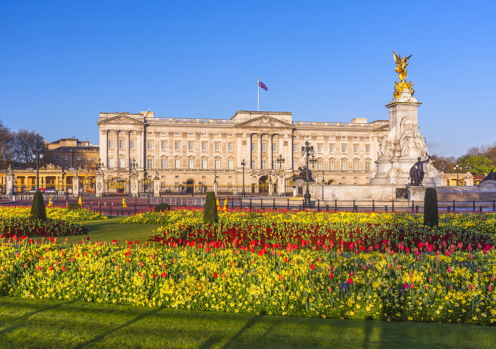 Buckingham Palace, London, England, United Kingdom, Europe