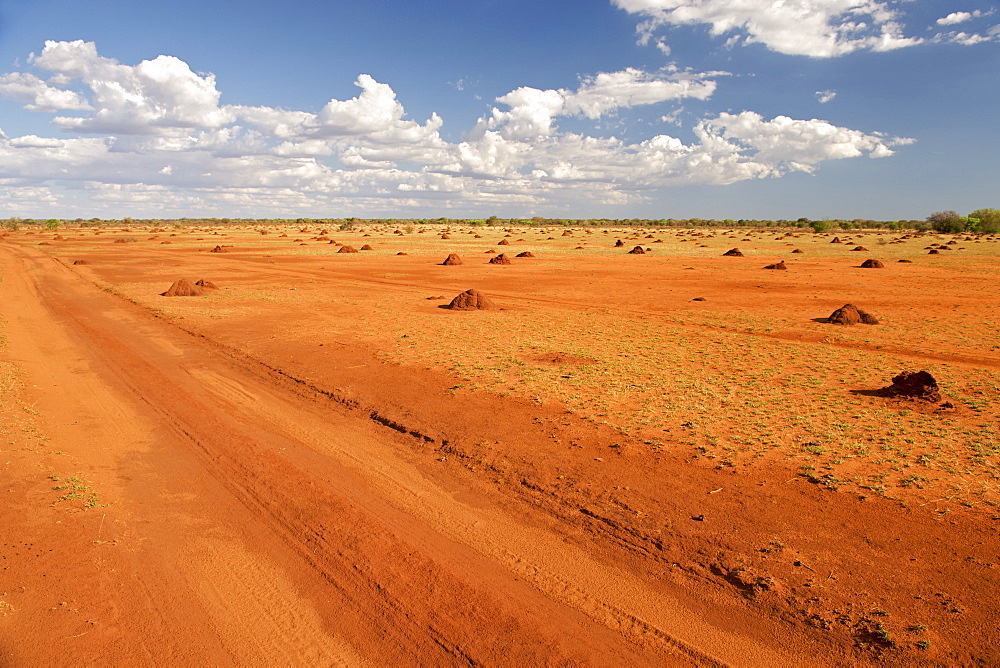 Barren, anthill-covered landscape in southwestern Madagascar on the road from Betioky to Tsimanampesotse National Park, Madagascar, Africa