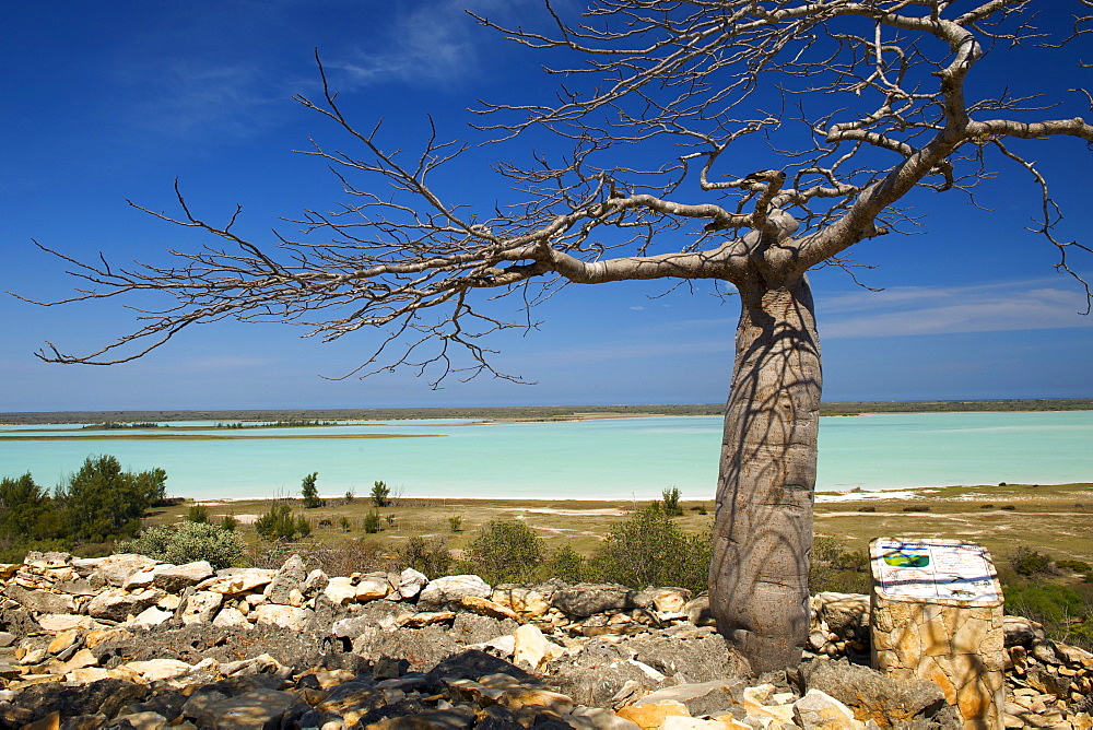 View of the salt lake forming the Tsimanampesotse National Park in southwestern Madagascar, Madagascar, Africa