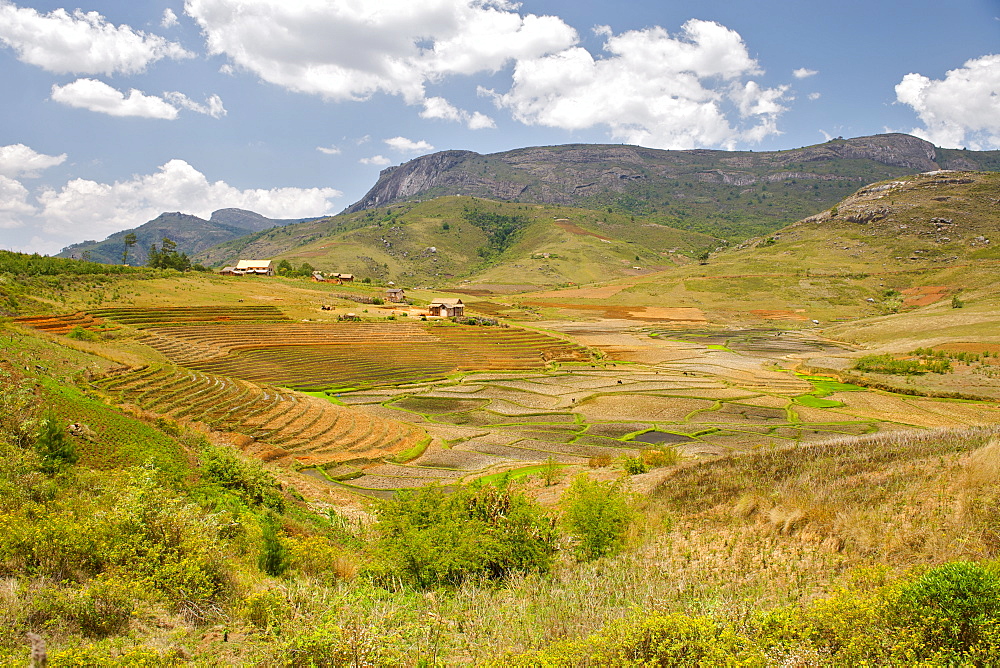 Landscape of rice paddies in the environs of Andringitra National Park in southern Madagascar, Madagascar, Africa